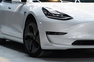 model 3 zoom